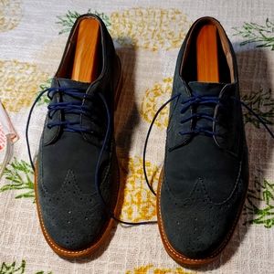 Blue Suede Wing Tips